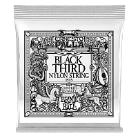 ERNIE BALL P01513