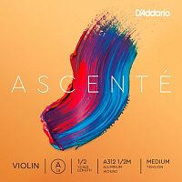 D'ADDARIO A312 1/2M Ascente