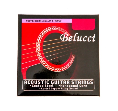 Belucci acoustic